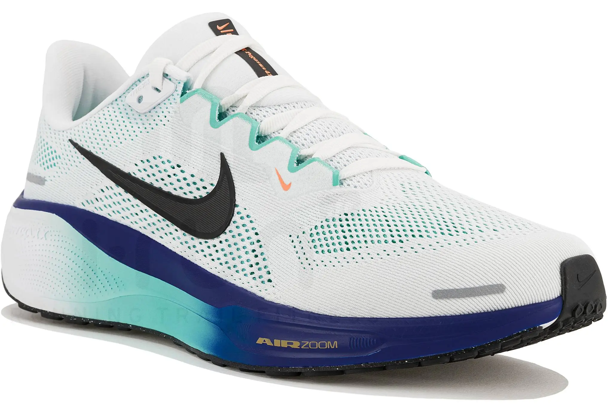 Nike Pegasus 41 homme